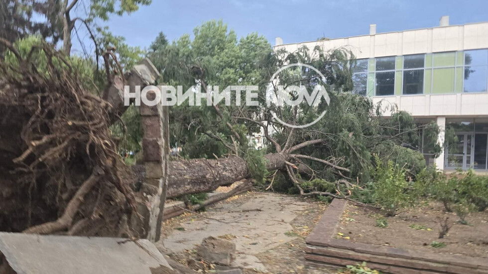 Мощна буря в Кюстендил, кметът – с призив за помощ