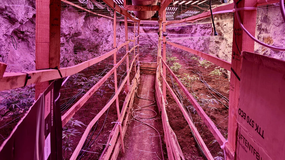 „Подземен град“ от канабис: Разкриха високотехнологична наркооранжерия в бивша мина край Кюстендил