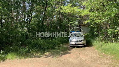 Откриха седем тела, заровени в гора край София, задържан е погребален агент