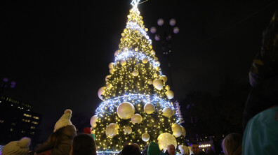 Запалиха светлините на коледната елха в София с шоу пред Народния театър