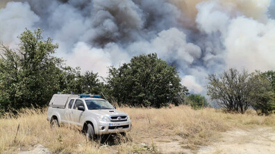 Два нови пожара пламнаха в Пловдивско, изгоряха няколко вили