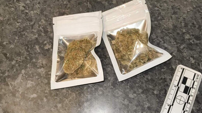 Мащабна спецоперация в София: Арестуваха 67 души за разпространение на дрога