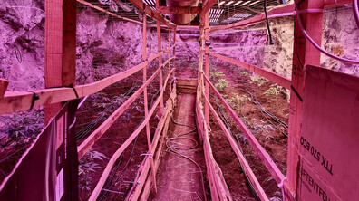 „Подземен град“ от канабис: Разкриха високотехнологична наркооранжерия в бивша мина край Кюстендил