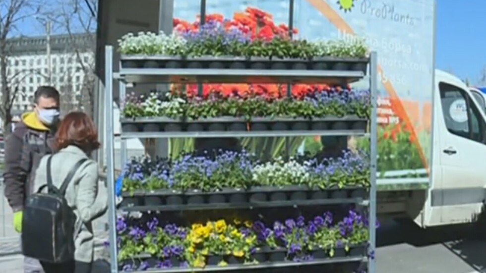 Над 1000 цветя за медиците от „Пирогов”