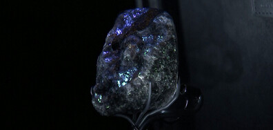 Показаха втория по големина в света груб диамант, собственост на известен френски бранд