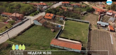 В "Да хванеш гората" на 4 май очаквайте
