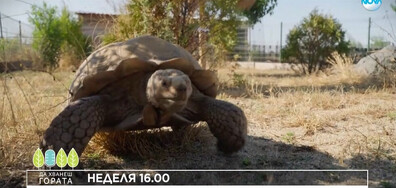 В "Да хванеш гората" на 20 юли очаквайте