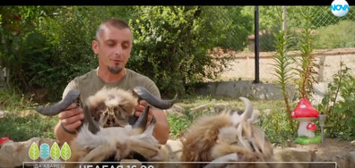 В "Да хванеш гората" на 21 септември очаквайте