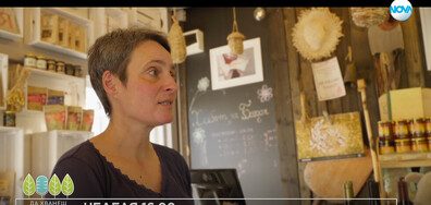 В "Да хванеш гората" на 28 декември очаквайте