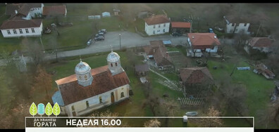 В "Да хванеш гората" на 4 януари очаквайте