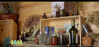 В "Да хванеш гората" на 8 март очаквайте