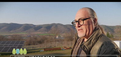 В "Да хванеш гората" на 5 април очаквайте