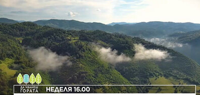 В "Да хванеш гората" на 6 юли очаквайте