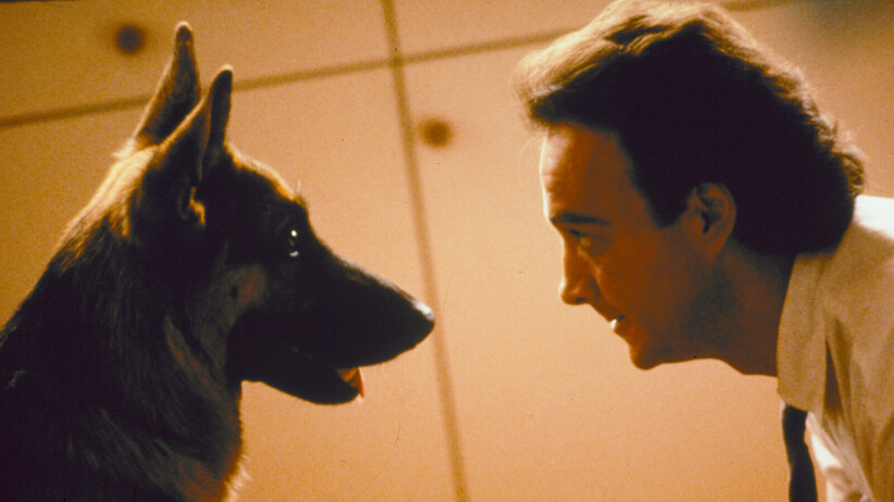 K-9