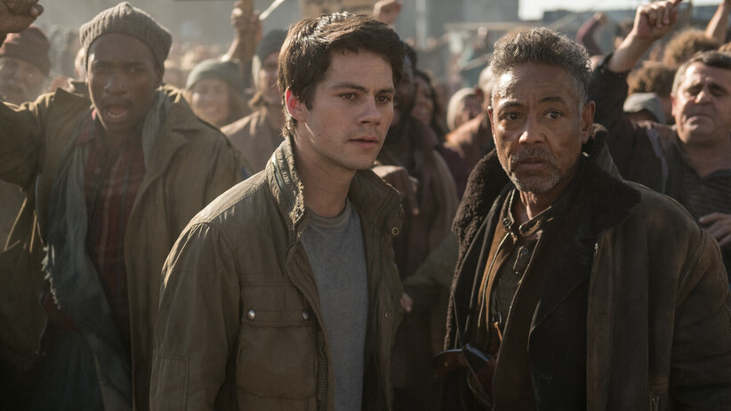 Лабиринтът : Последният кандидат