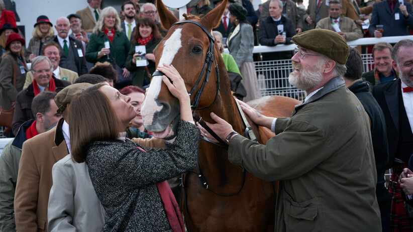Кон мечта (премиера)
