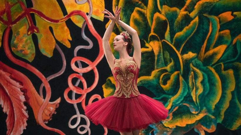 Червената лястовица