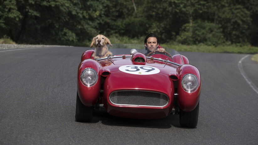 Невероятният живот на Енцо