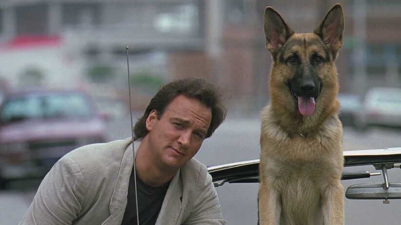 K-9
