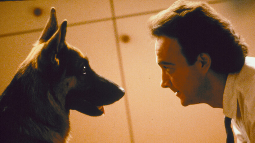 K-9