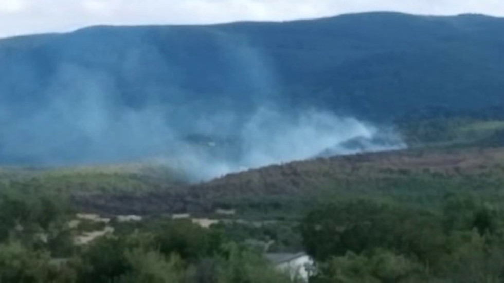 Пожар до село Црънча