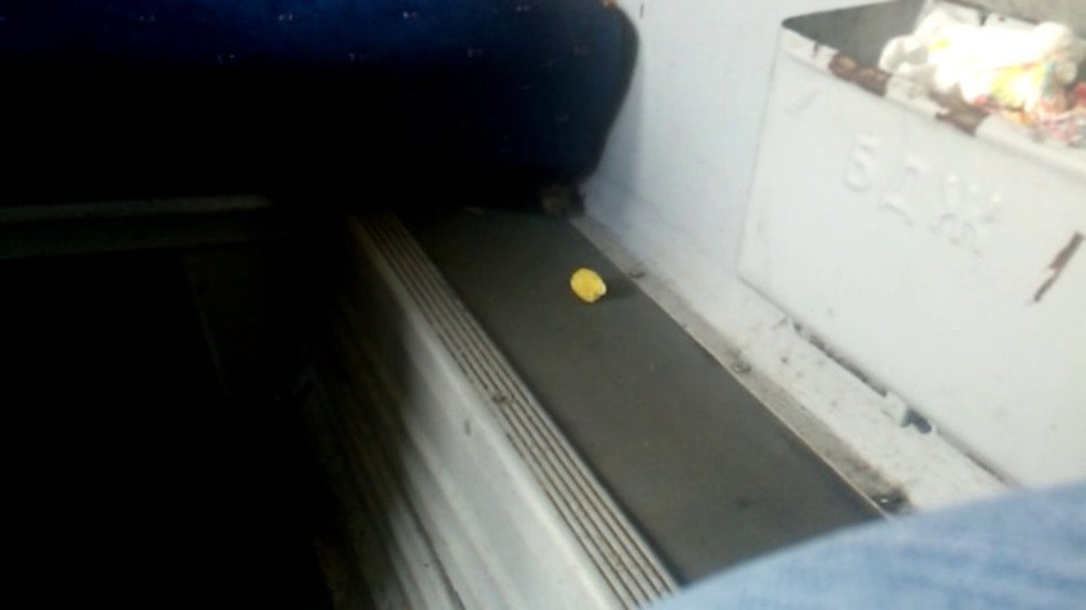 Мишка във влака