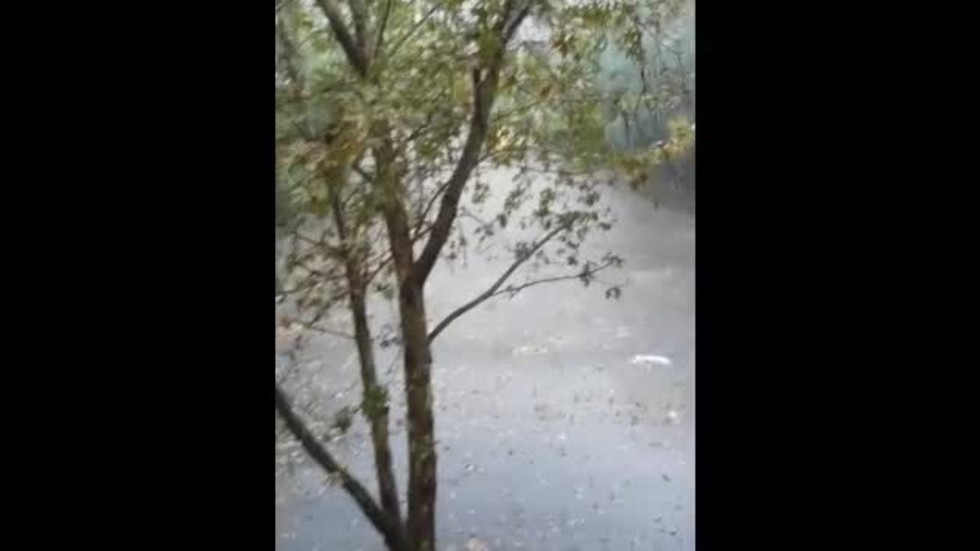 Силен дъжд и градушка във Видин (ВИДЕО)