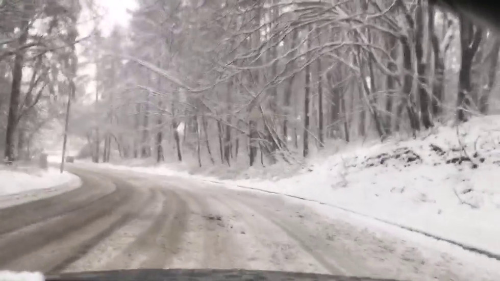 Зимата в квартал "Бояна" в София - красив първи сняг