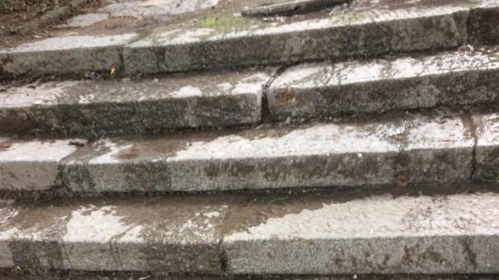 Фекална вода блика и тече по стълбите над градинката на "Княжево"