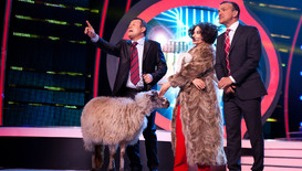 Рачков доведе истинска овца на сцената на „Като две капки вода"