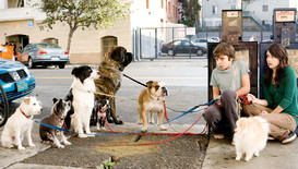 Забавен кино следобед с филма „Хотел за кучета”