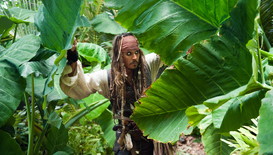 Премиера на Нова година: „Карибски пирати: В непознати земи”