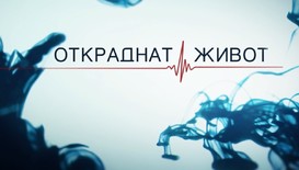 Нов български сериал, 2 премиерни формата и нови сезони на едни от най-обичаните шоупрограми в ефира