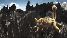 Viasat Nature разкрива най-големите чудеса на природата в „Мадагаскар“