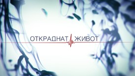 Пролет 2016 в ефира на Нова