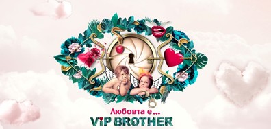 На крилете на любовта във VIP Brother 2017